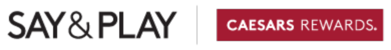 Say & Play logo